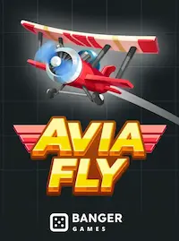 Avia Fly crash at 499 VAT COM